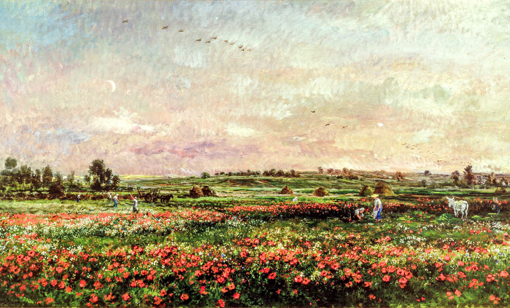 47查尔斯·弗朗索瓦·杜比尼《六月的田野》-编辑 拷贝.jpg