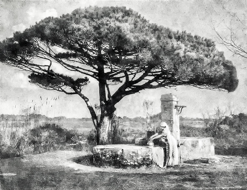 023井边女人-编辑 拷贝-1.jpg