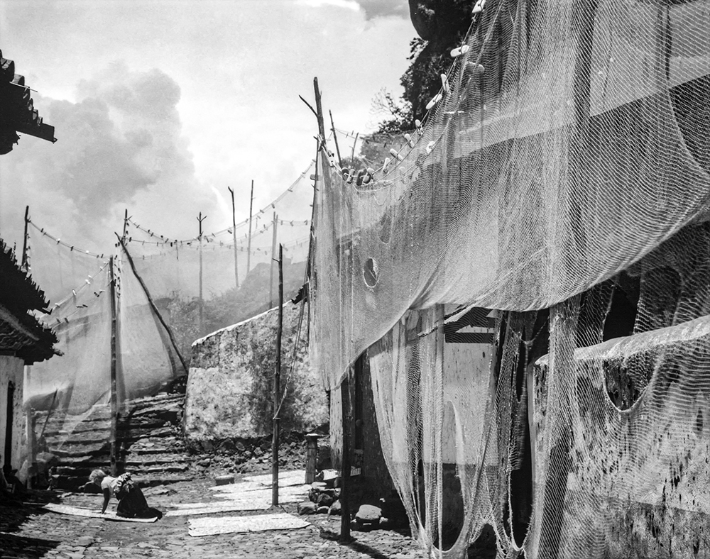 027篮网队-编辑 拷贝-1.jpg