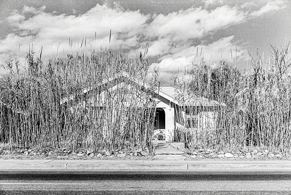 041亚利桑那州图森-编辑 拷贝-1.jpg