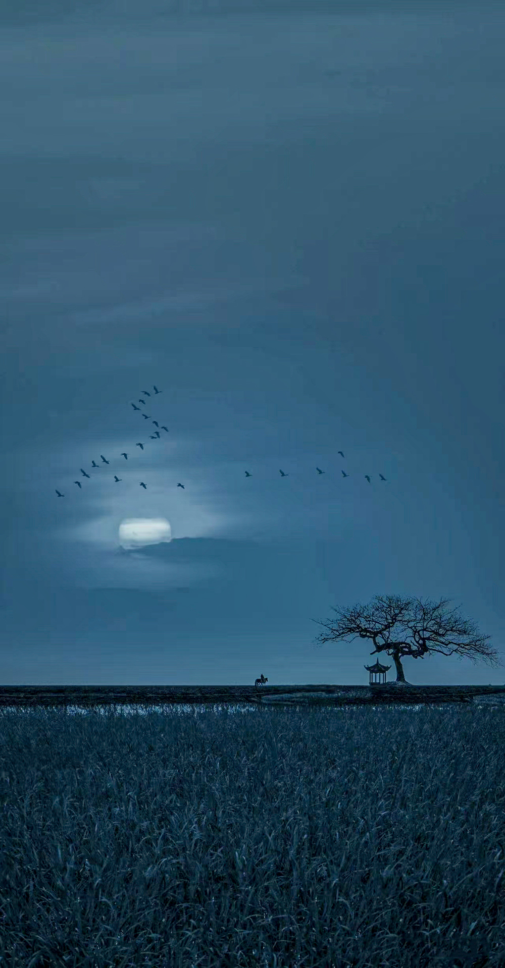 055十三独影境  拷贝-1.jpg